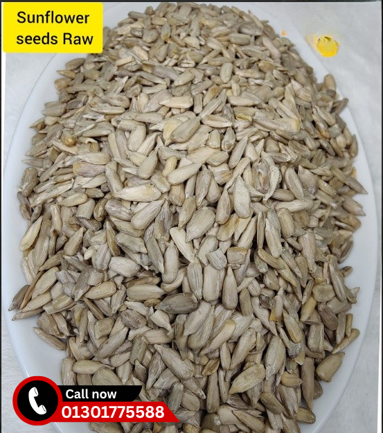 SUNFLOWER SEEDS RAW || সূর্যমূখী ফুলের বীজ ||